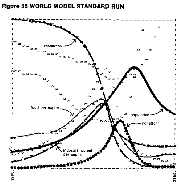Limits to Growth - the Standard Run