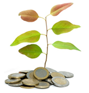 UNEP's Money plant....